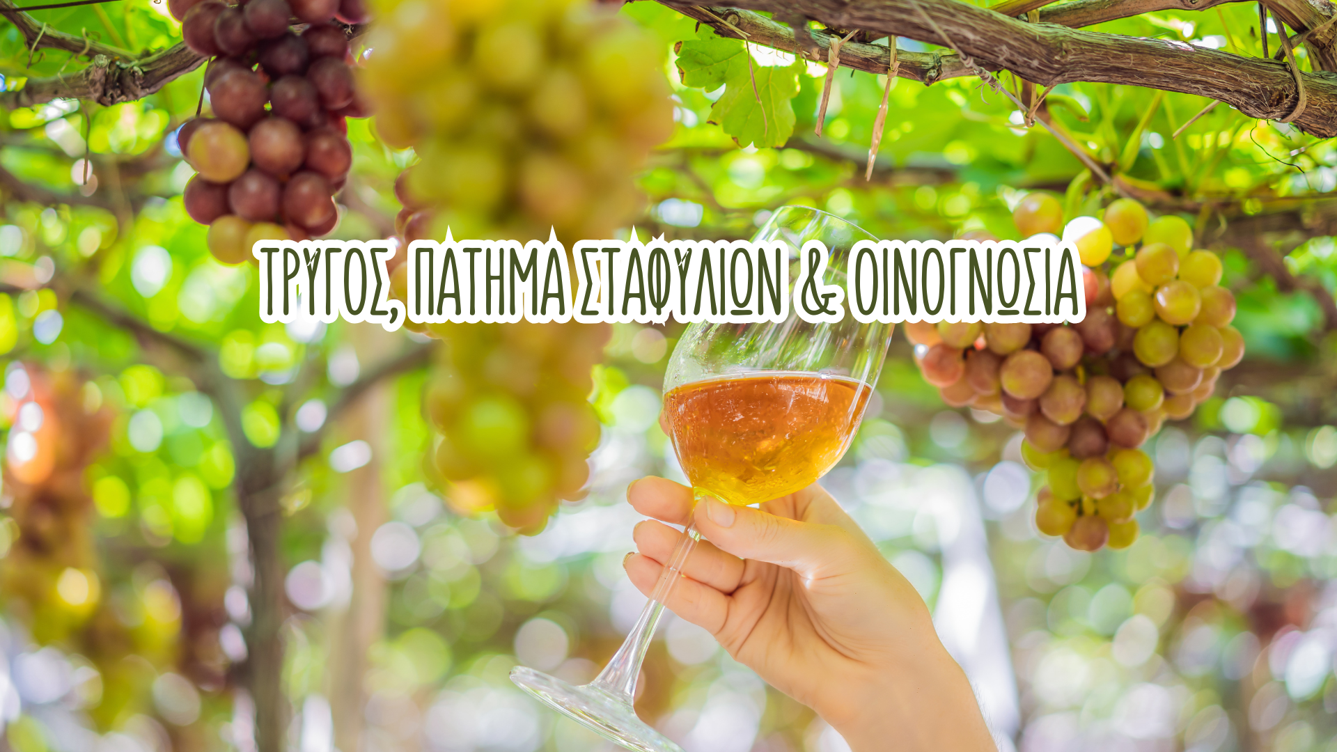 Family Experience στο οινοποιείο Σπυροπούλου